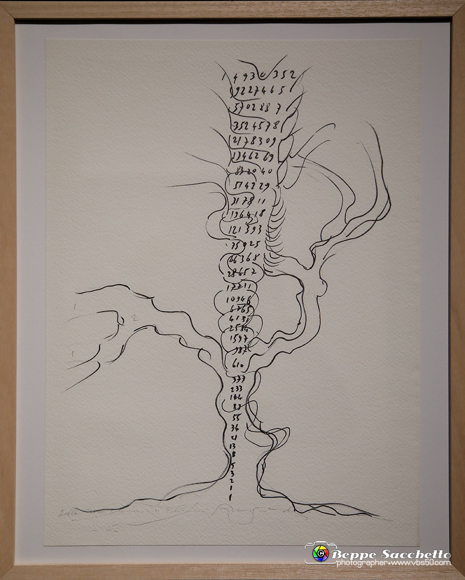 VBS_1380 - Castello di Miradolo - Mostra Oltre il giardino l'Abbecedario di paolo Pejrone.jpg